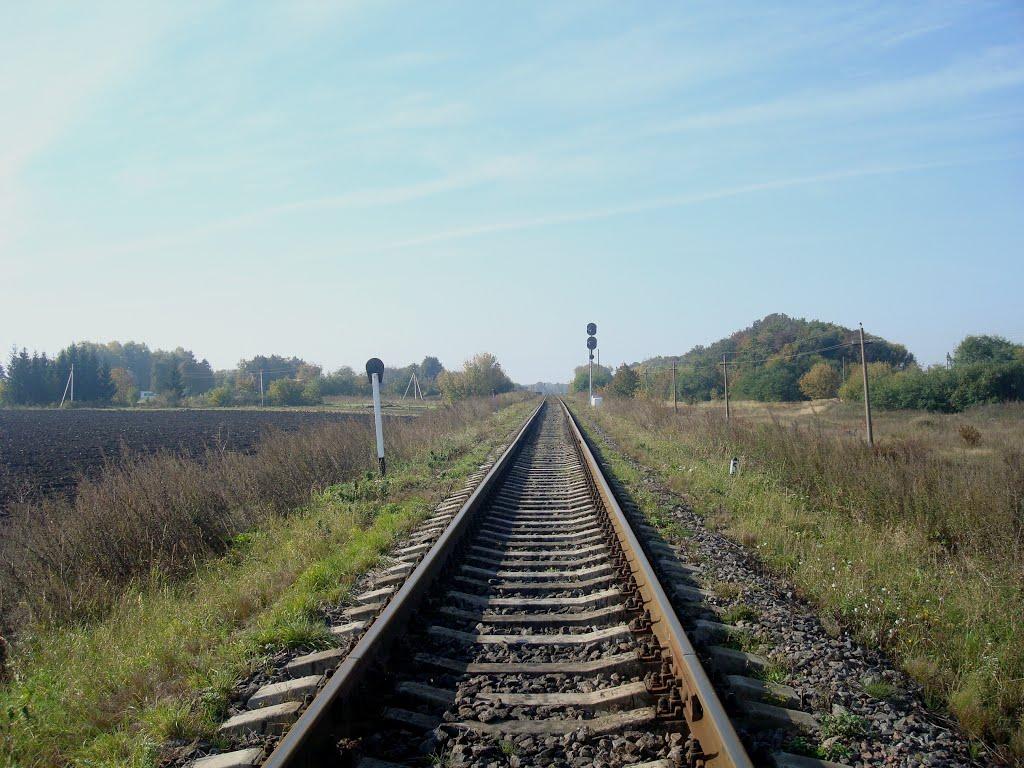 Лісоводи з panoramio.com - Лісоводи