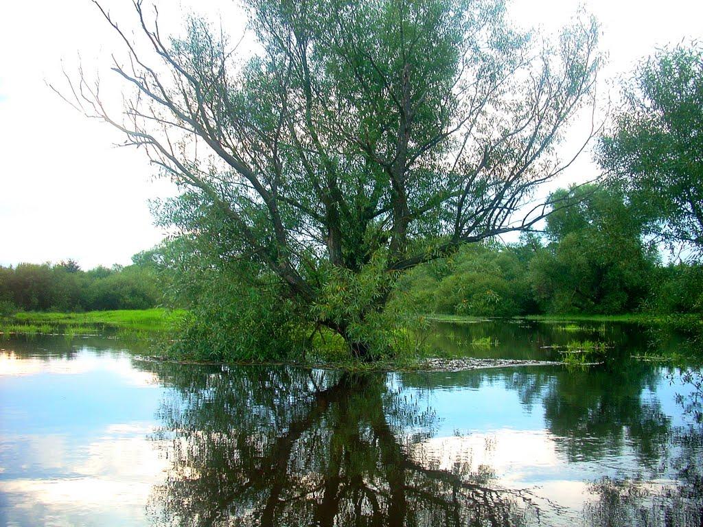 Андріївка з panoramio.com - Андреевка