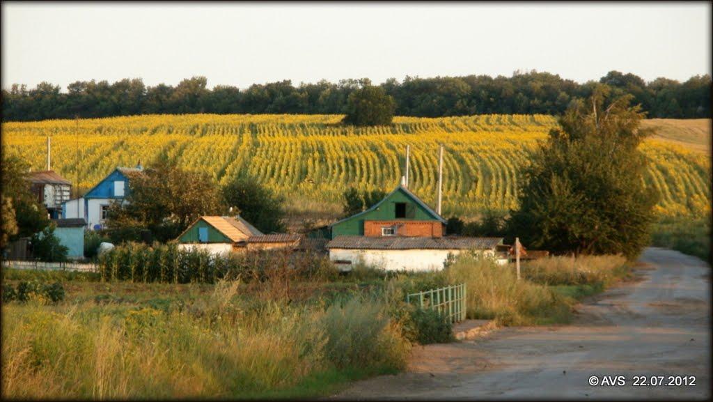 Стряпівка з panoramio.com - Стряпівка