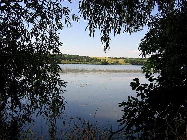 Первомаївка з panoramio.com - Первомаевка