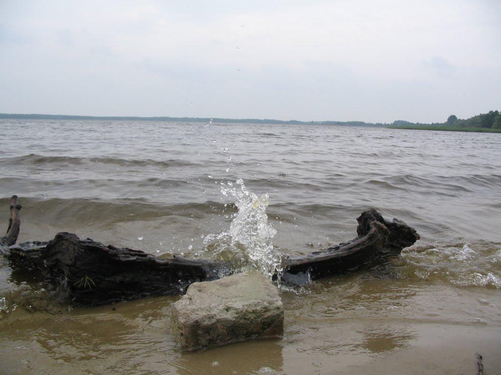 Шацьк з panoramio.com - Shatsk