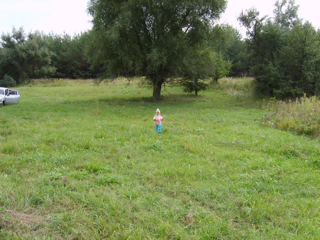 Шульгівка з panoramio.com - Шульгівка