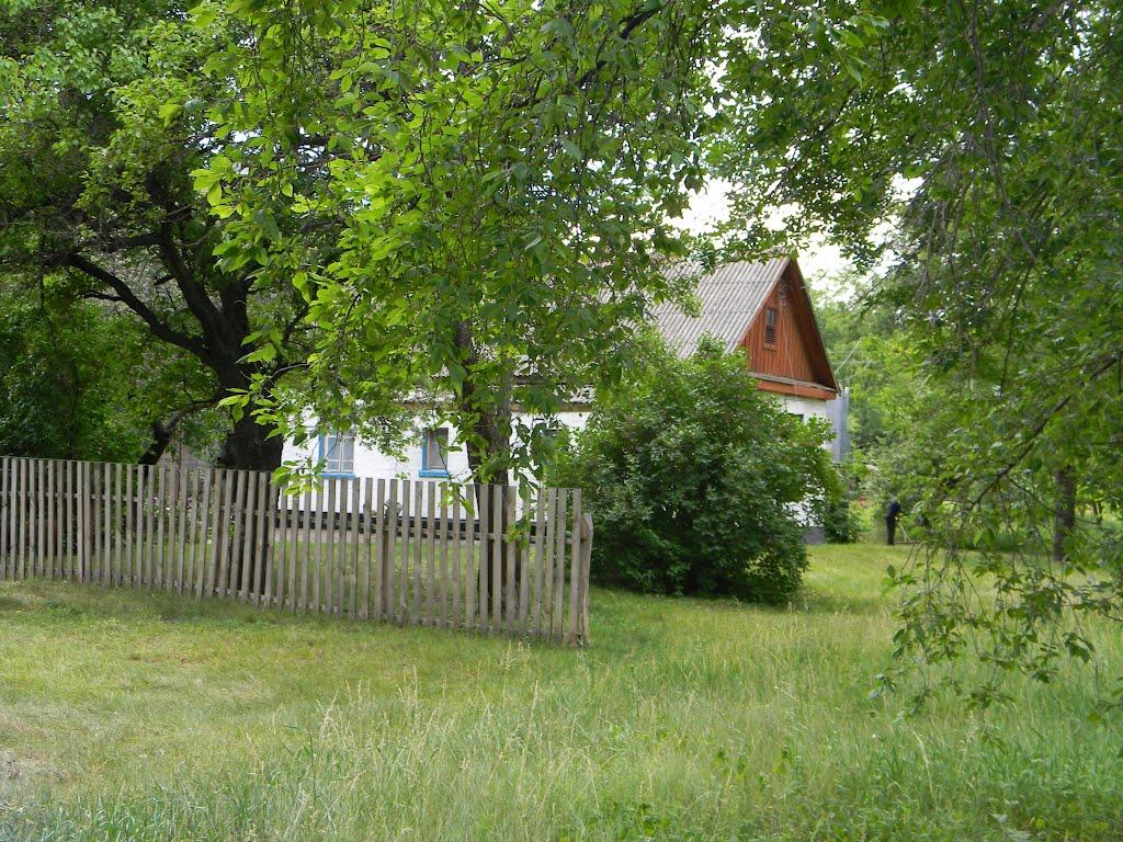 Білозір'я з panoramio.com - Белозерье