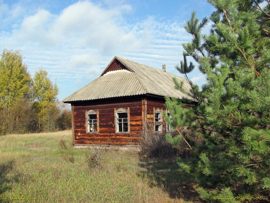 Дитятки з panoramio.com - Dytyatky