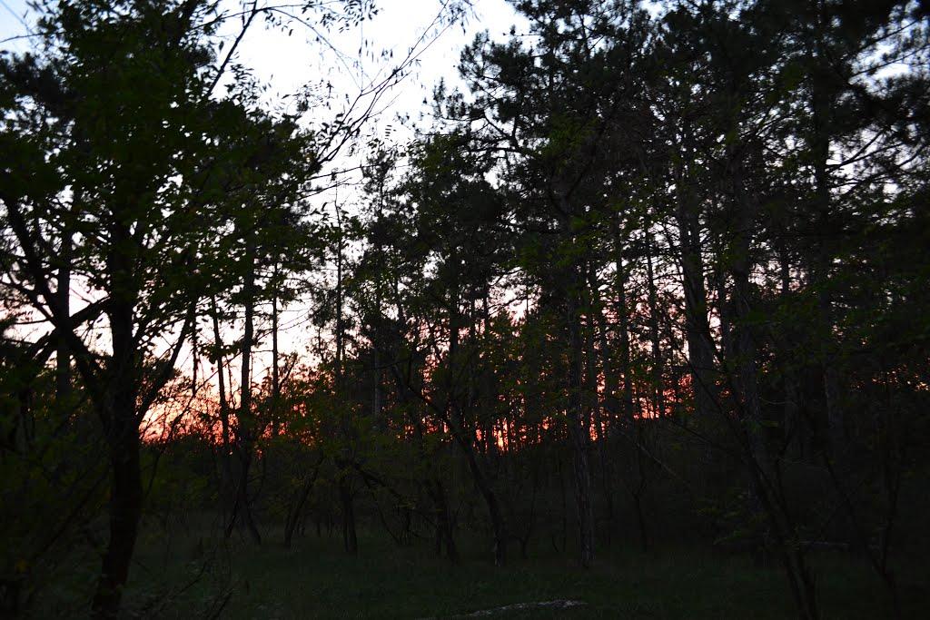 Білоусове з panoramio.com - Білоусове