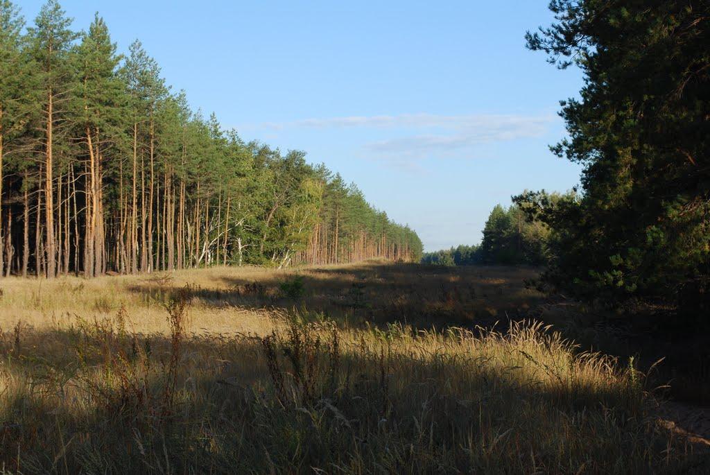 Осколонівка з panoramio.com - Осколонівка