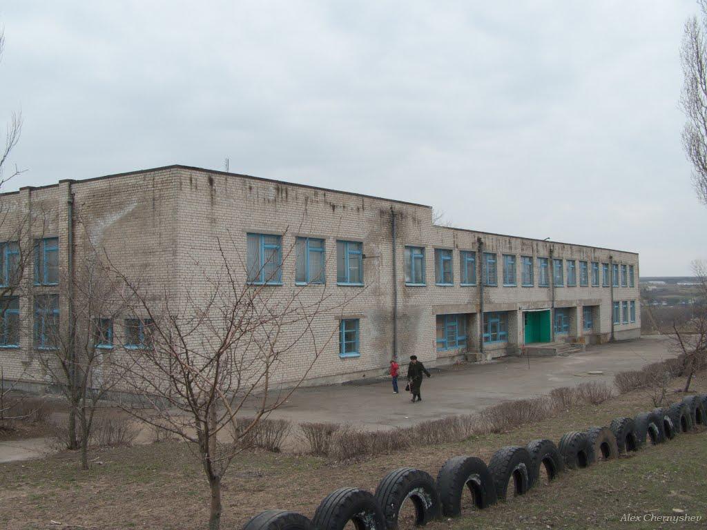 Олексіївка з panoramio.com - Алексеевка