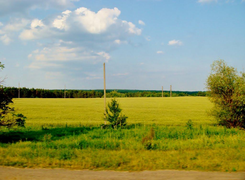 Хлипнівка з panoramio.com - Хлипновка