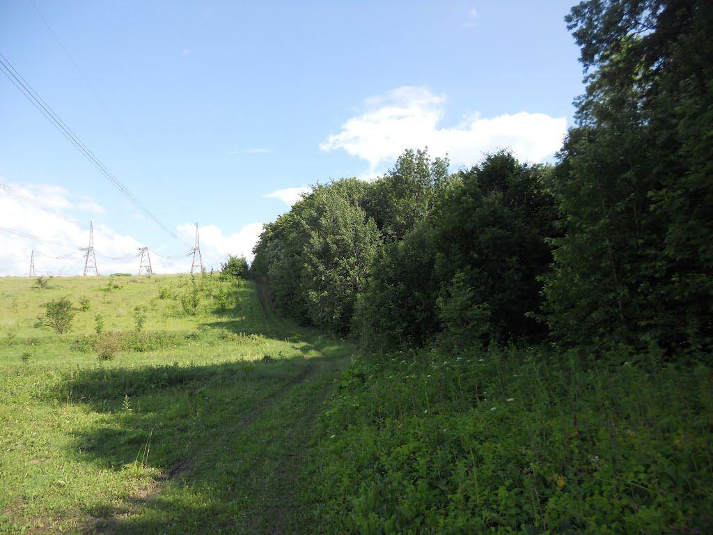 Товстеньке з panoramio.com - Товстеньке