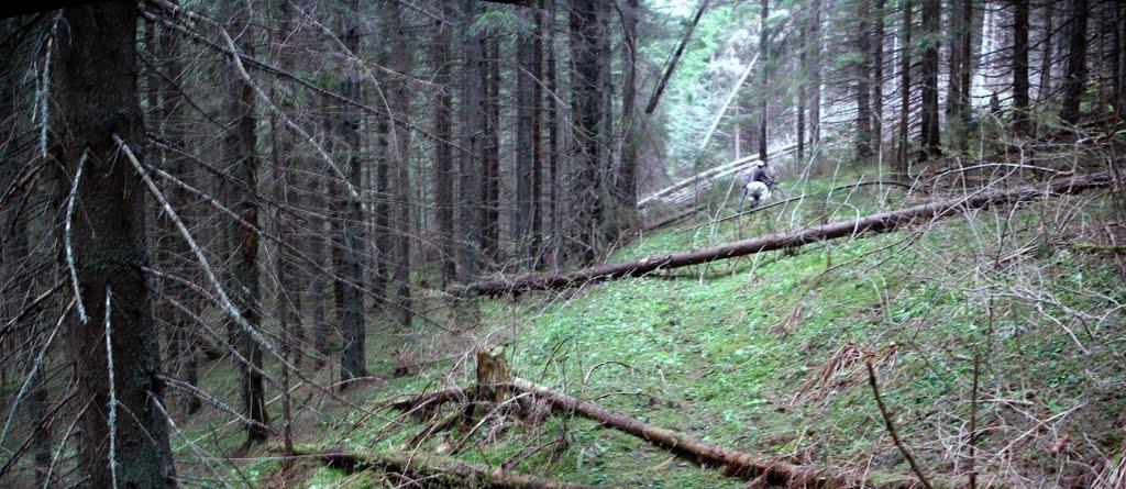 Голошина з panoramio.com - Голошина