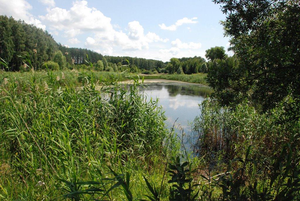 Полова з panoramio.com - Полова