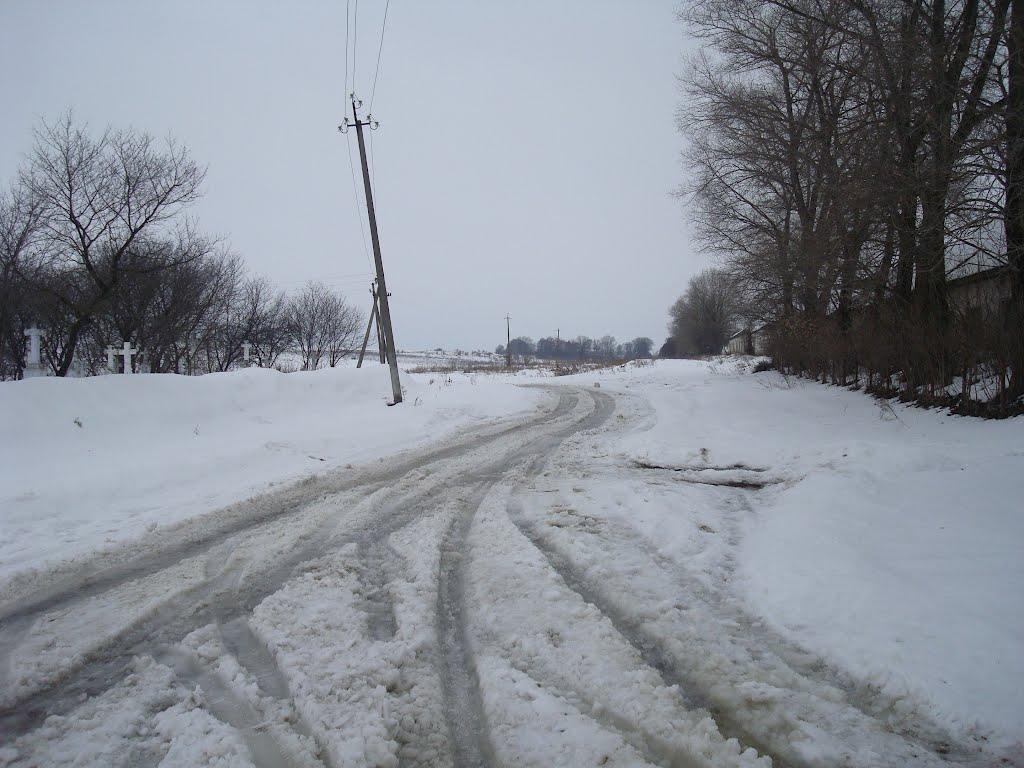Борщівка з panoramio.com - Борщівка
