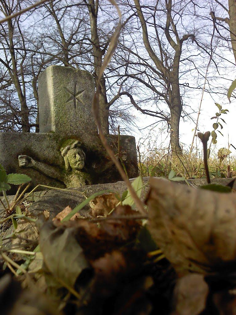 Угнів з panoramio.com - Угнів
