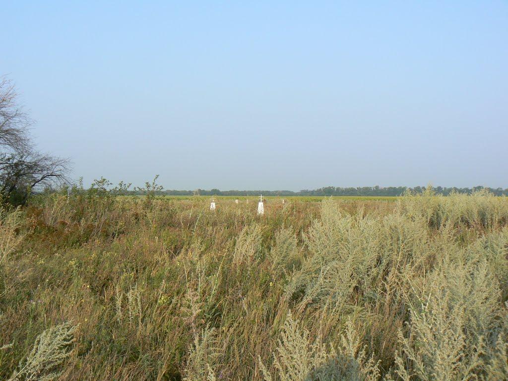 Верхівка з panoramio.com - Верхівка