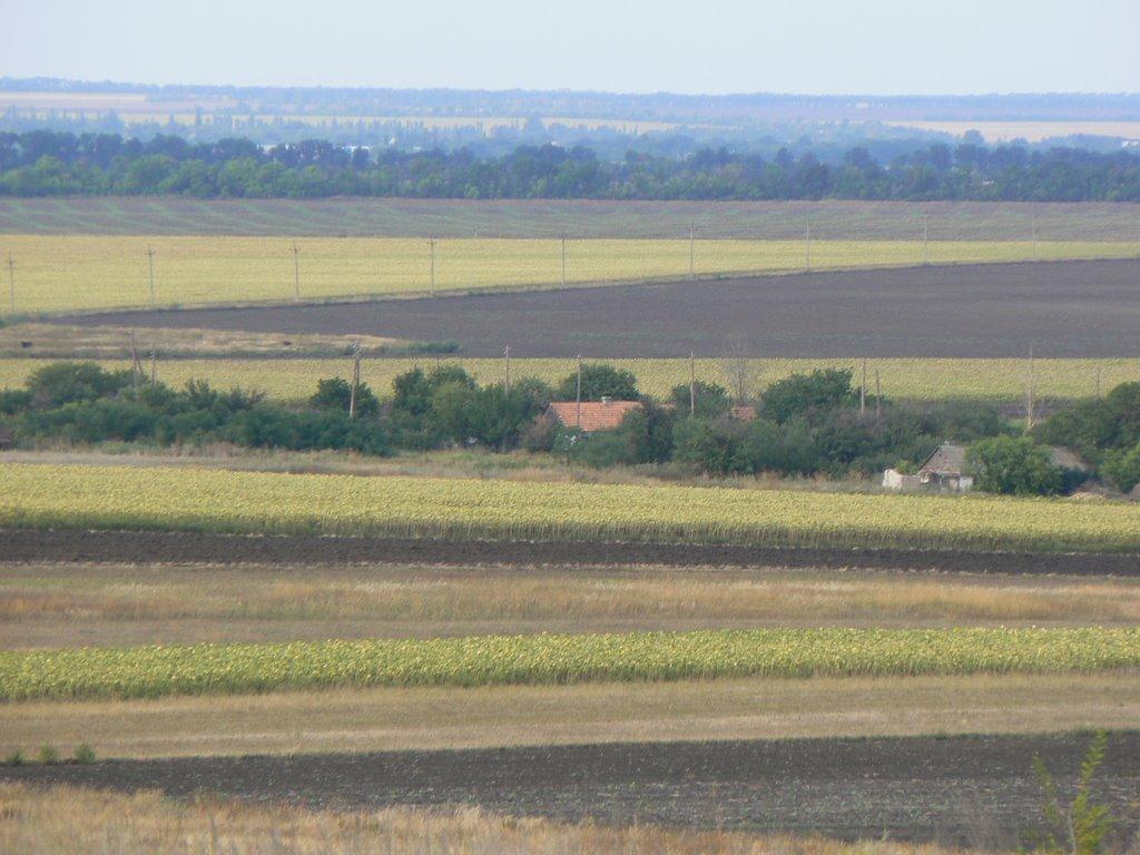 Орлинське з panoramio.com - Орлинське