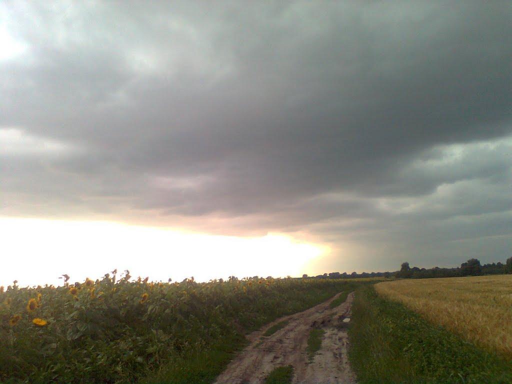 Щаслива з panoramio.com - Щаслива