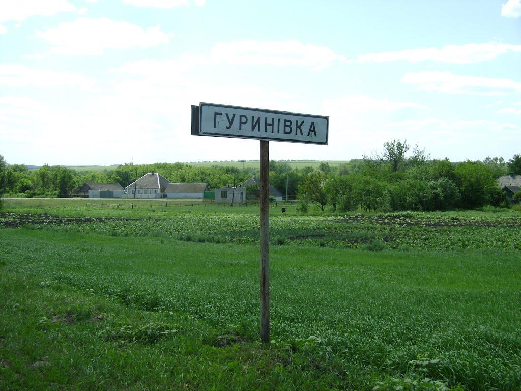 Велика Рогозянка з panoramio.com - Велика Рогозянка