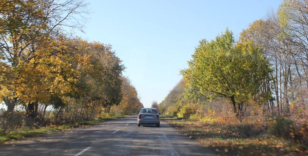 Олександрівка з panoramio.com - Александровка