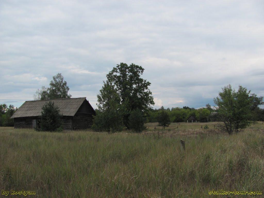 Дитятки з panoramio.com - Dytyatky