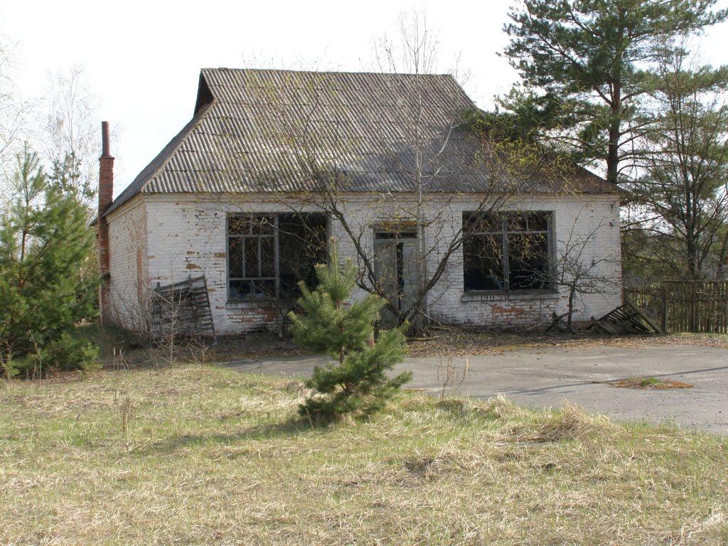 Дитятки з panoramio.com - Дитятки