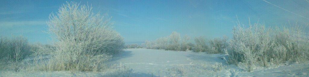 Шевченківка з panoramio.com - Шевченківка