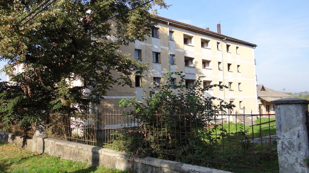 Великий Бичків з panoramio.com - Великий Бычков