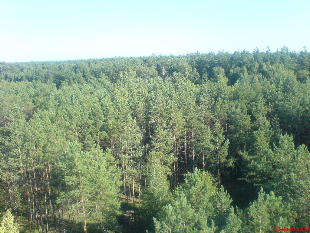 Бочечки з panoramio.com - Бочечки