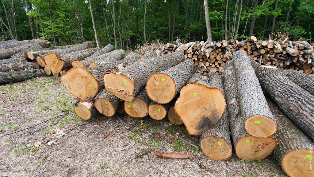 Руські Тишки з panoramio.com - Руські Тишки