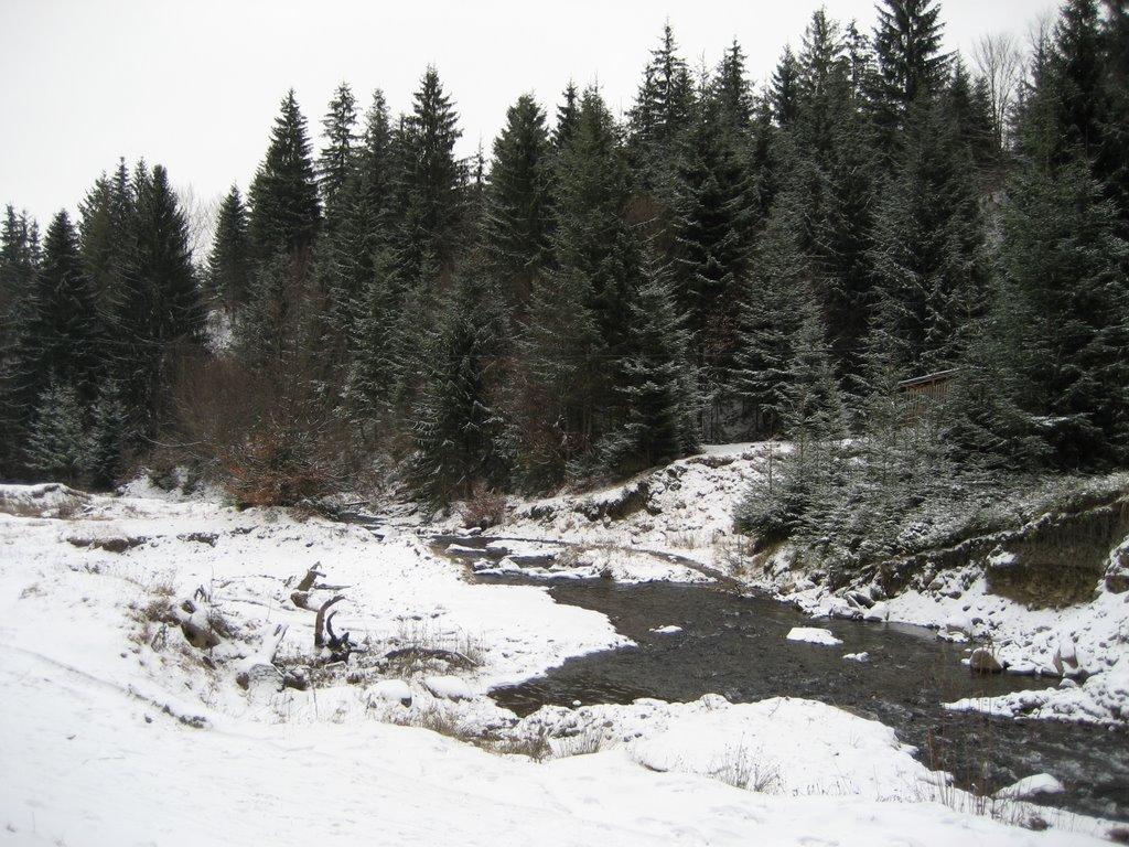 Пилипець з panoramio.com - Pylypets