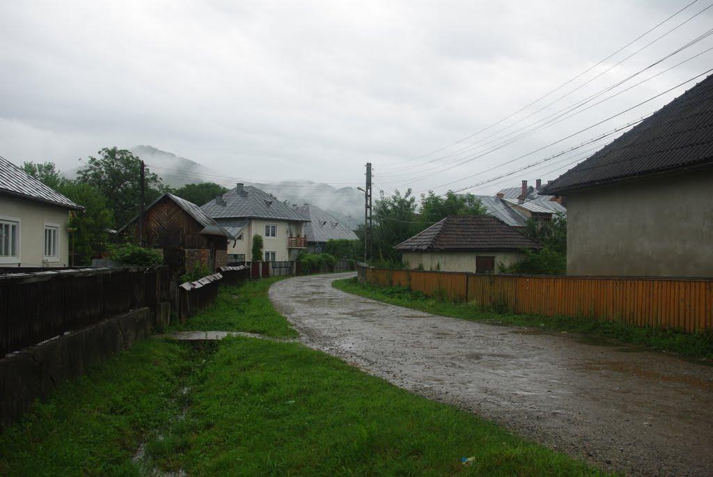 Біла Церква з panoramio.com - Біла Церква