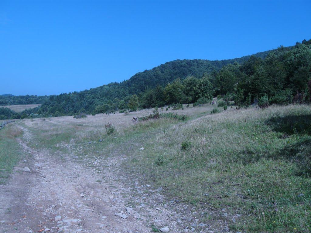 Пилипець з panoramio.com - Пилипець