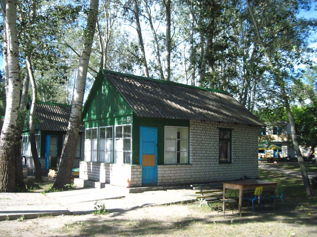 Кияшки з panoramio.com - Кияшки