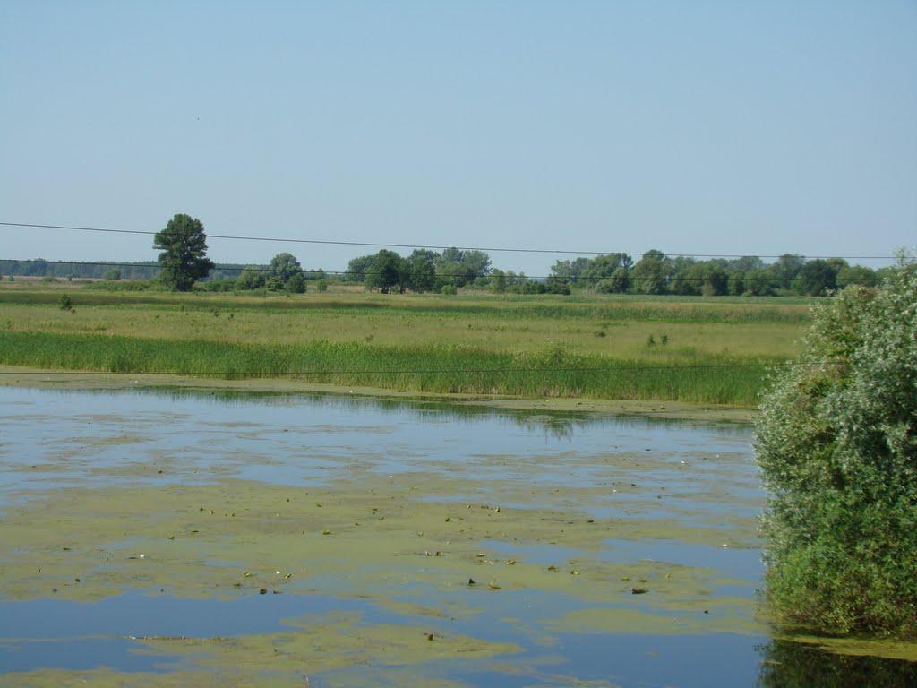 Горошине з panoramio.com - Goroshyne