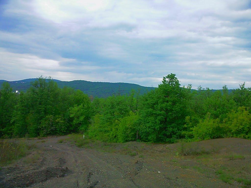 Синапне з panoramio.com - Синапне
