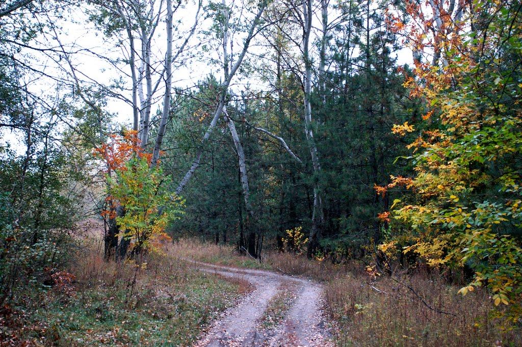 Шульгівка з panoramio.com - Shulgivka