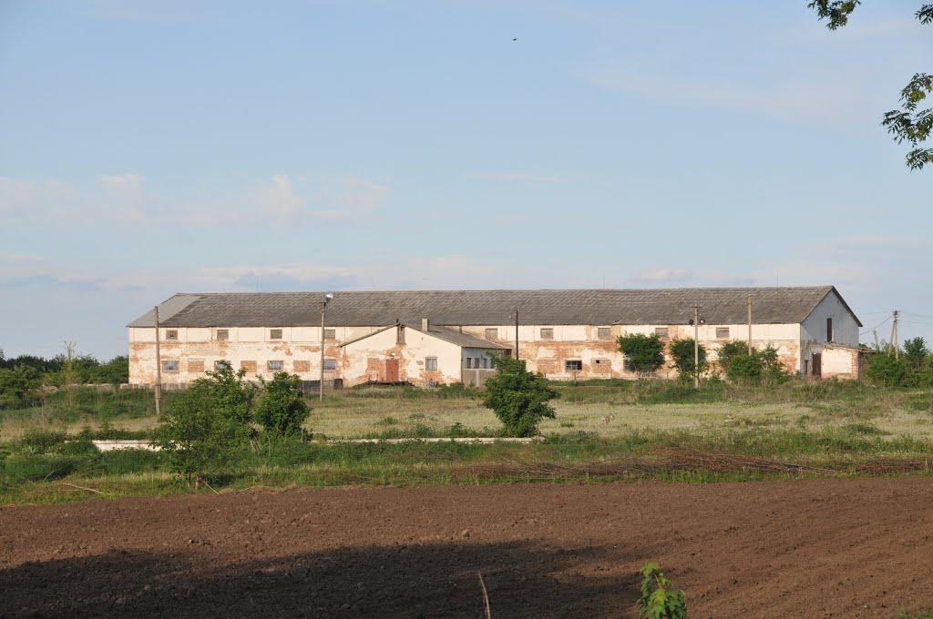 Золотники з panoramio.com - Золотники