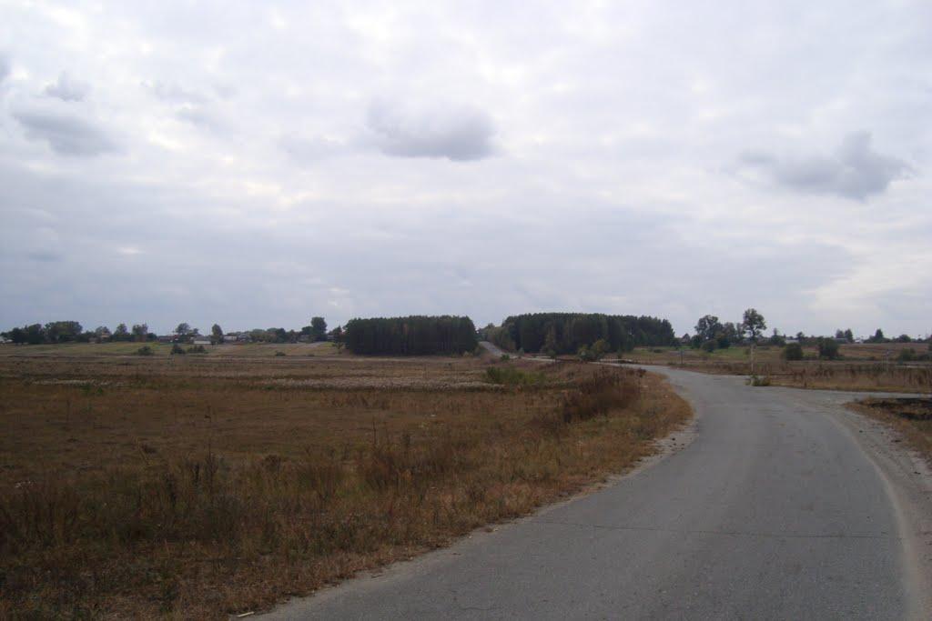 Любовичі з panoramio.com - Любовичи