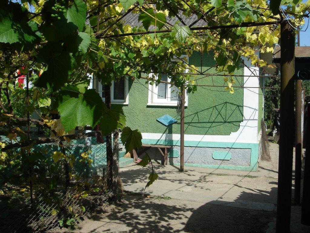 Волошкове з panoramio.com - Волошкове