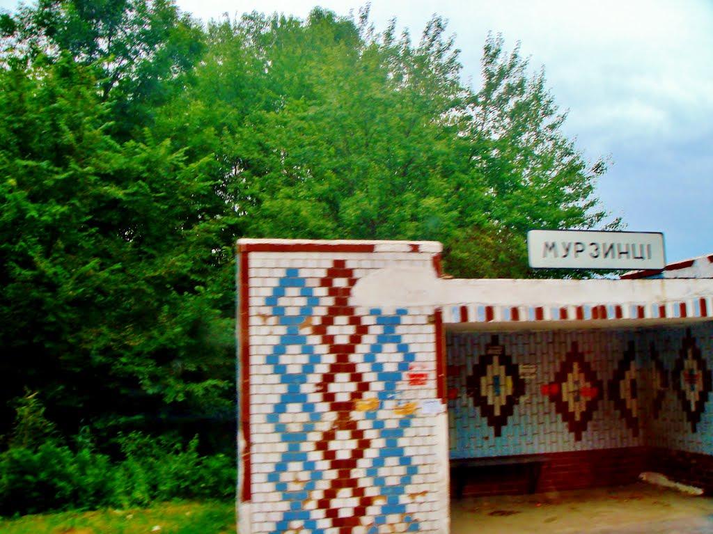 Мурзинці з panoramio.com - Мурзинцы