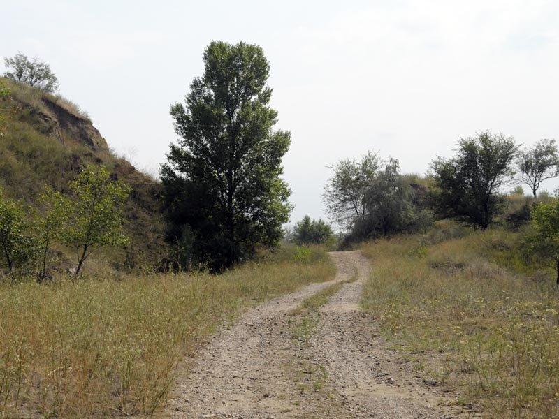 Волоське з panoramio.com - Волосское
