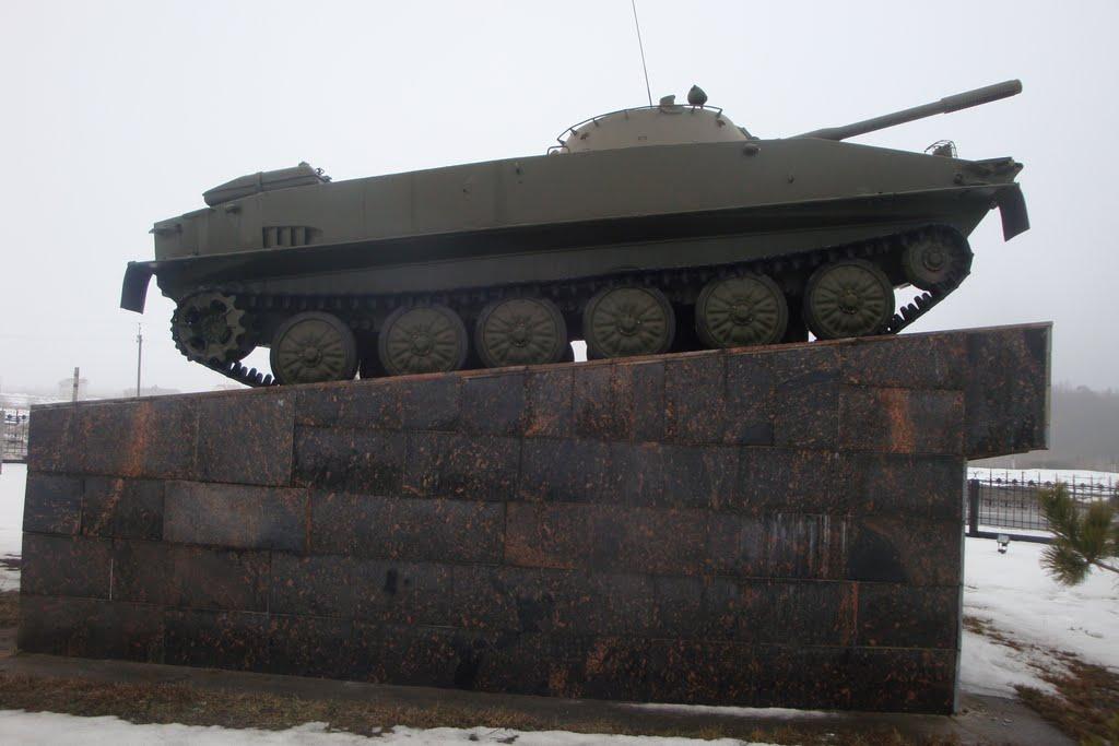 Сінгури з panoramio.com - Сингуры