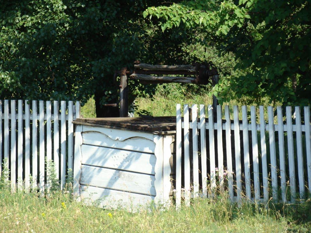 Горошине з panoramio.com - Goroshyne