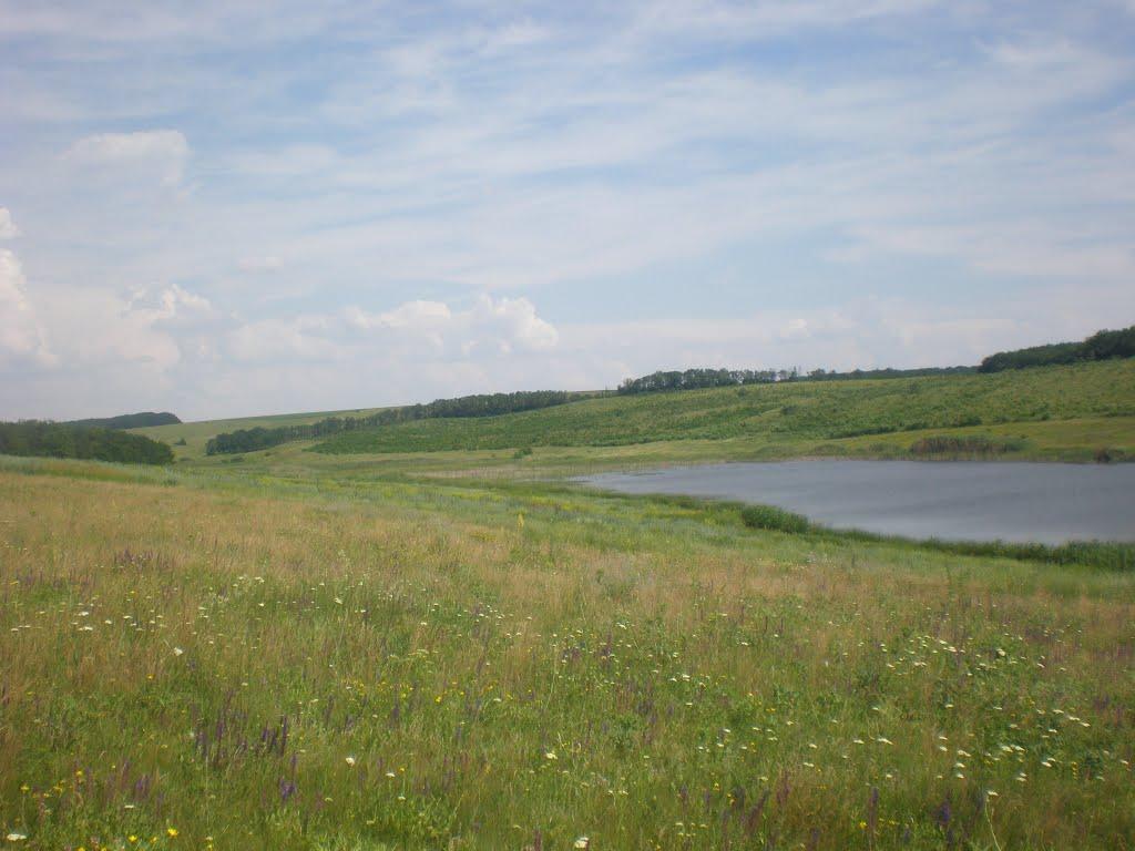 Всесвятське з panoramio.com - Всесвятське