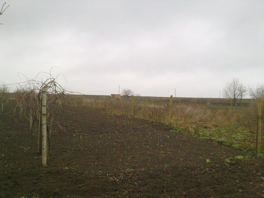 Семисотка з panoramio.com - Семисотка