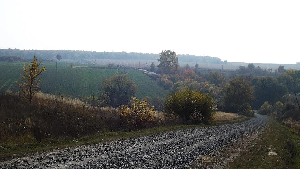 Лаврів з panoramio.com - Лавров