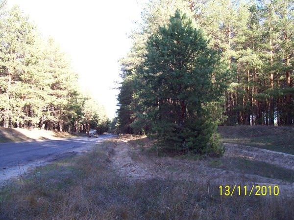 Ямпіль з panoramio.com - Ямполь