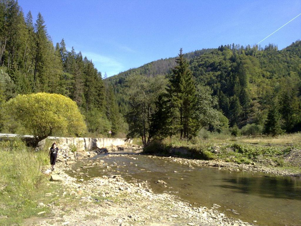 Козьова з panoramio.com - Козьова