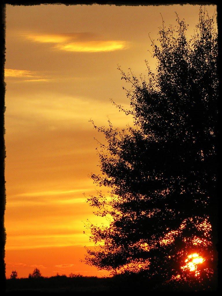 Колісники з panoramio.com - Колісники