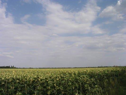 Димитров з panoramio.com - Димитров