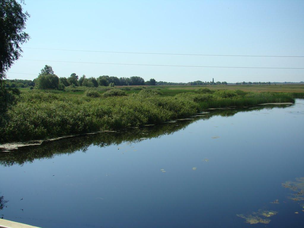 Горошине з panoramio.com - Goroshyne